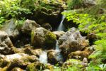 2014-07-05_Laengental-N-Hochweg (485). JPG